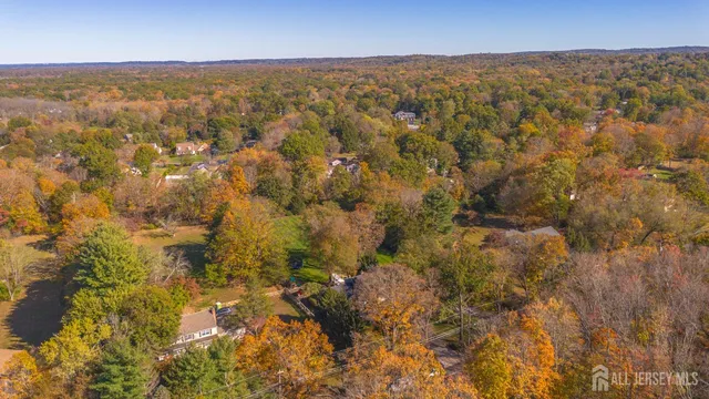 a view of a dry yard