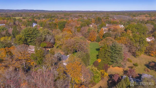 a view of city and mountain