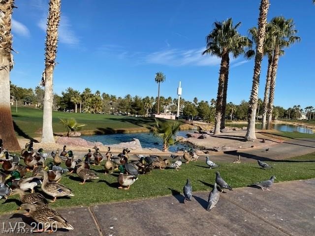 121 Elm Reed Avenue Las Vegas, NV 89113 - Photo 15 of 22 Gallery Image 15