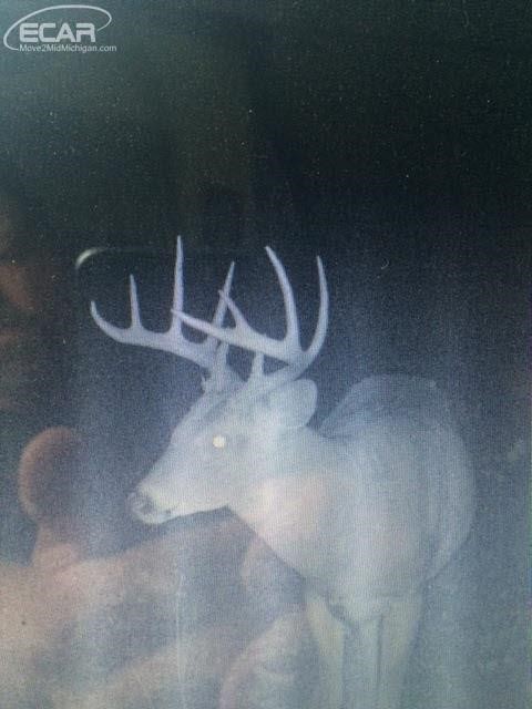 0 Nettney Capac, MI 48014 - Photo 19 of 32