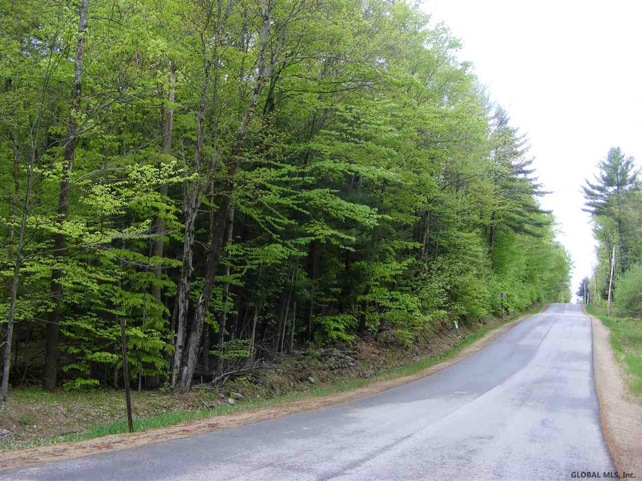 Snow Road Hadley, NY 12835 - Photo 1 of 9 Photo 1