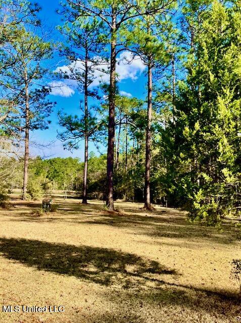 15429 Indian Fork Road Vancleave, MS 39565 - Photo 25 of 63 Open Area