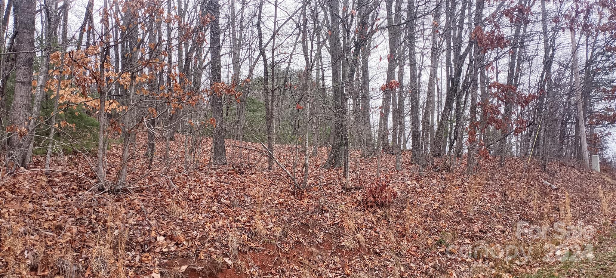 18 Watson Road Nebo, NC 28761 - Photo 3 of 17 Gallery Image 3
