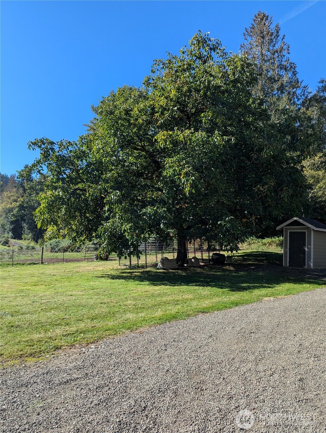150 Blue Road Mossyrock, WA 98564 - Photo 36 of 38 Gallery Image 36