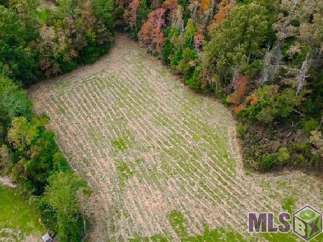 22256 Walker South Road Denham Springs, LA 70726 - Photo 6 of 11