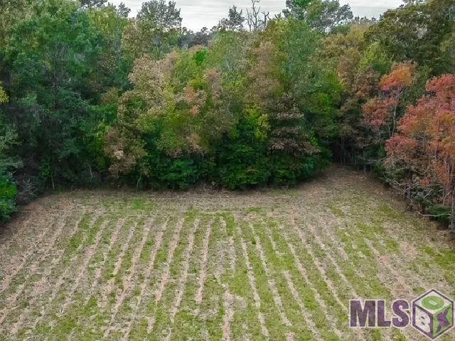 $399,000 | 22256 Walker South Road, Denham Springs, LA 70726