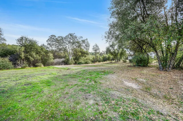a view of outdoor space with green field and trees
