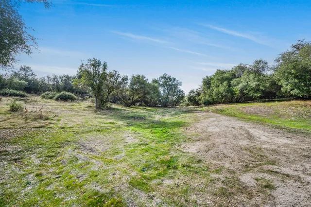 a view of a field with trees in background