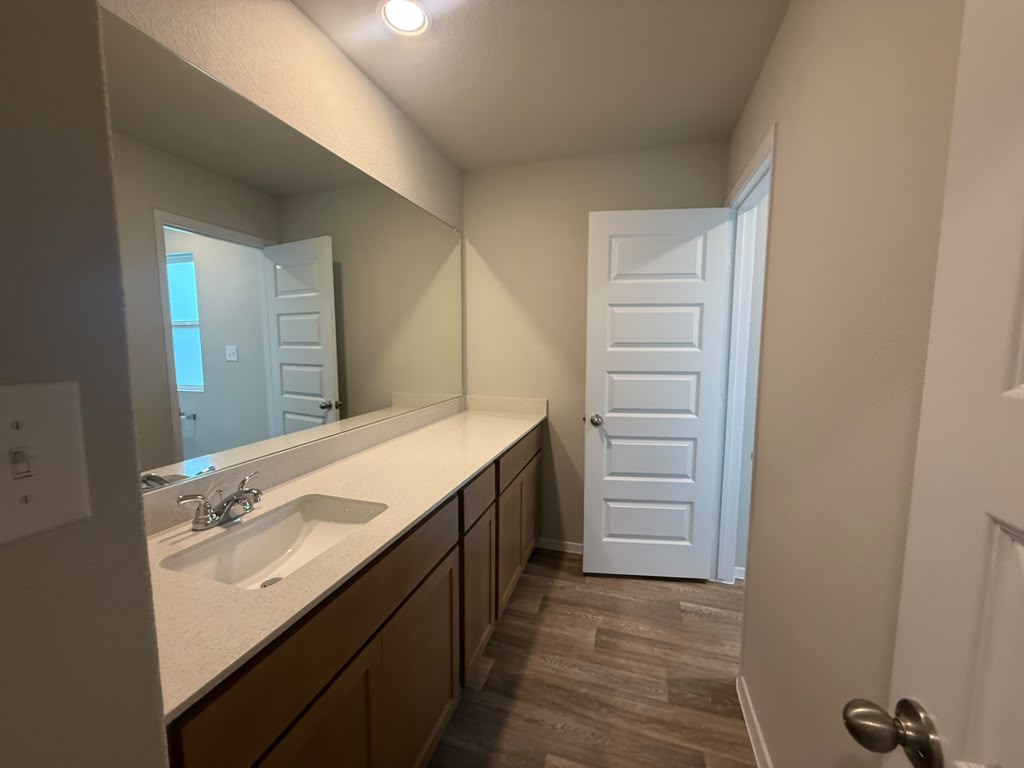 2601 Foss Road Manor, TX 78653 - Photo 36 of 40 An expansive vanity offers plentiful counter space alongside durable wood-look flooring.