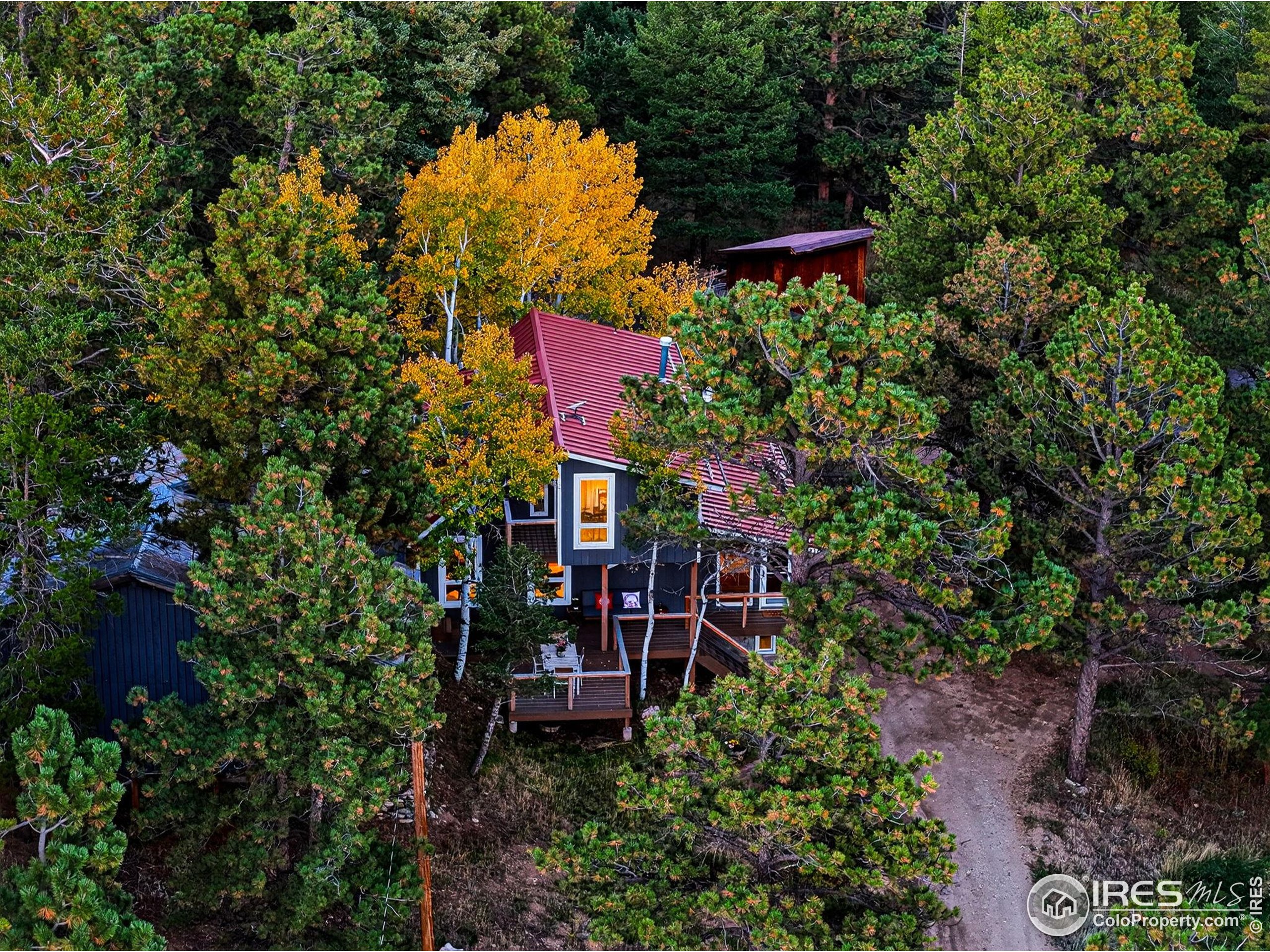 1707 Ridge Road Nederland, CO 80466 - Photo 40 of 50 an outdoor space with lots of trees and plants