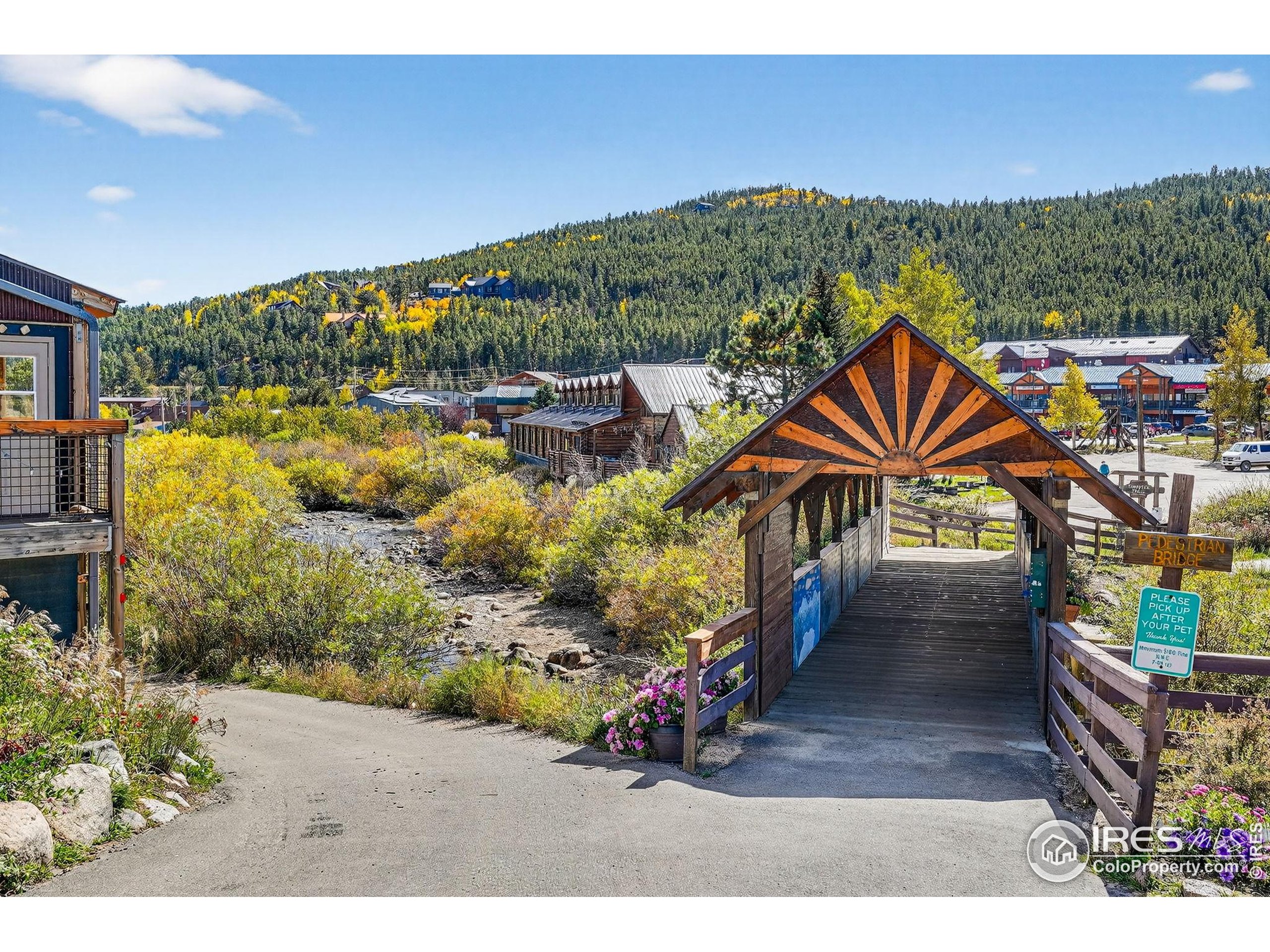 1707 Ridge Road Nederland, CO 80466 - Photo 46 of 50 a view of an outdoor space with lounge chair
