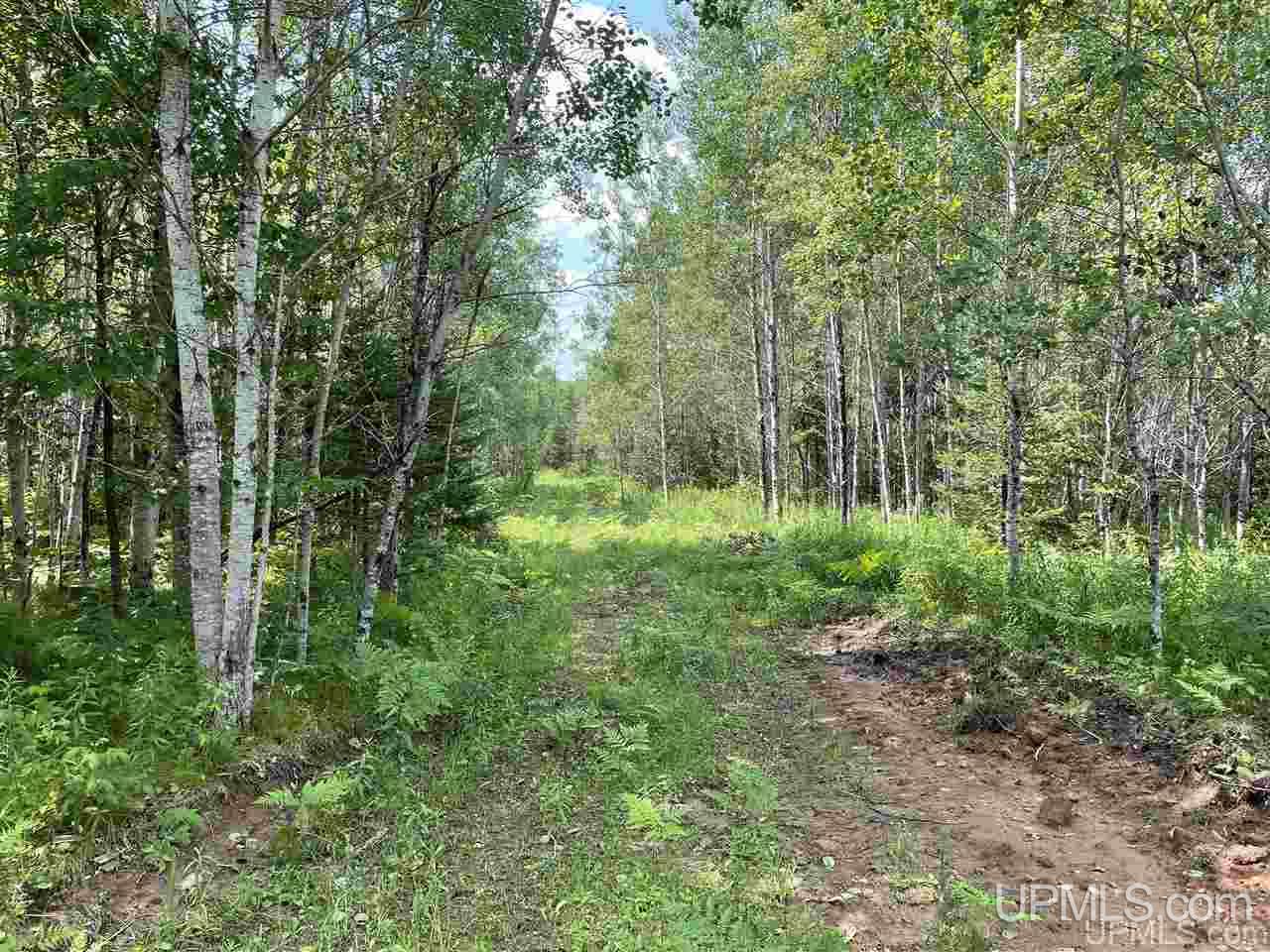 Tbd Off Nowack Road, Unit 1 Powers, MI 49874 - Photo 14 of 32