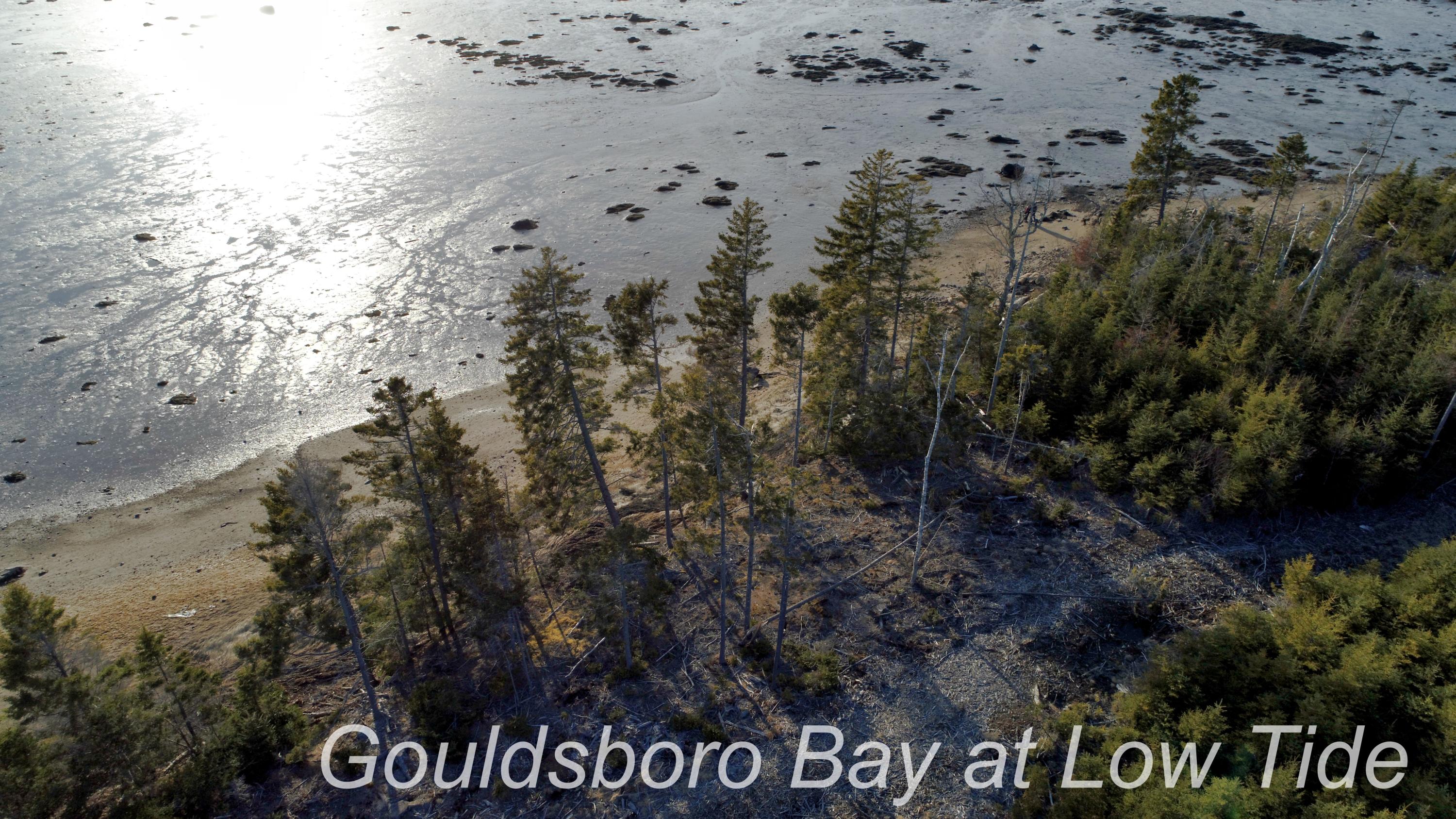 32 Peninsula Shores Road Corea, ME 04624 - Photo 13 of 23 Low Tide