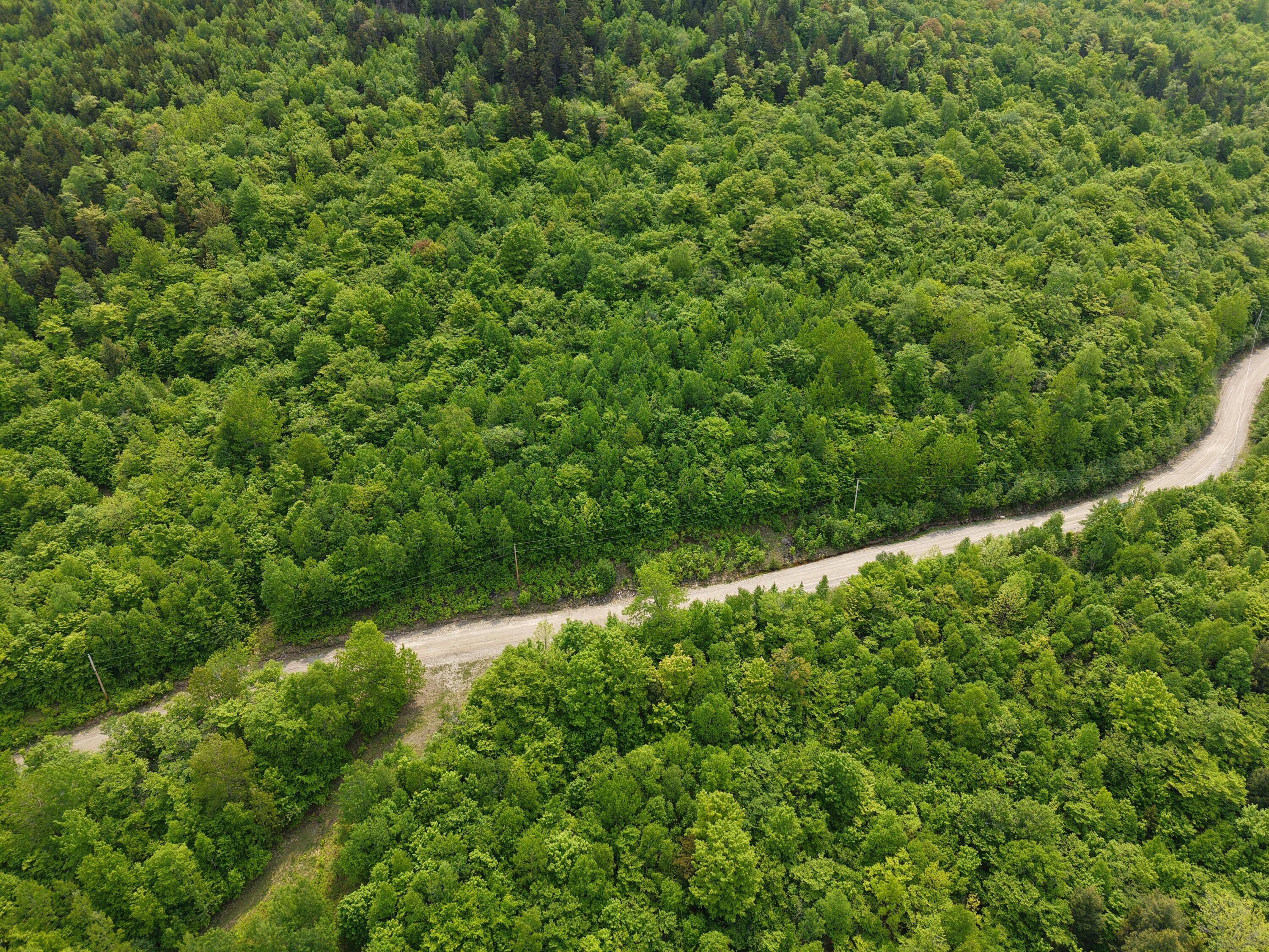 2-3 Ira Mountain Road Kingfield, ME 04947 - Photo 13 of 22 DJI_20250604110039_0022_D