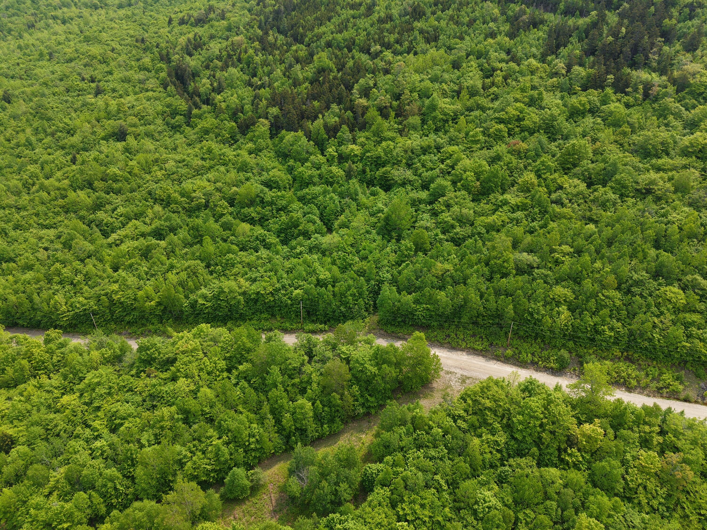 2-3 Ira Mountain Road Kingfield, ME 04947 - Photo 14 of 22 DJI_20250604110045_0023_D