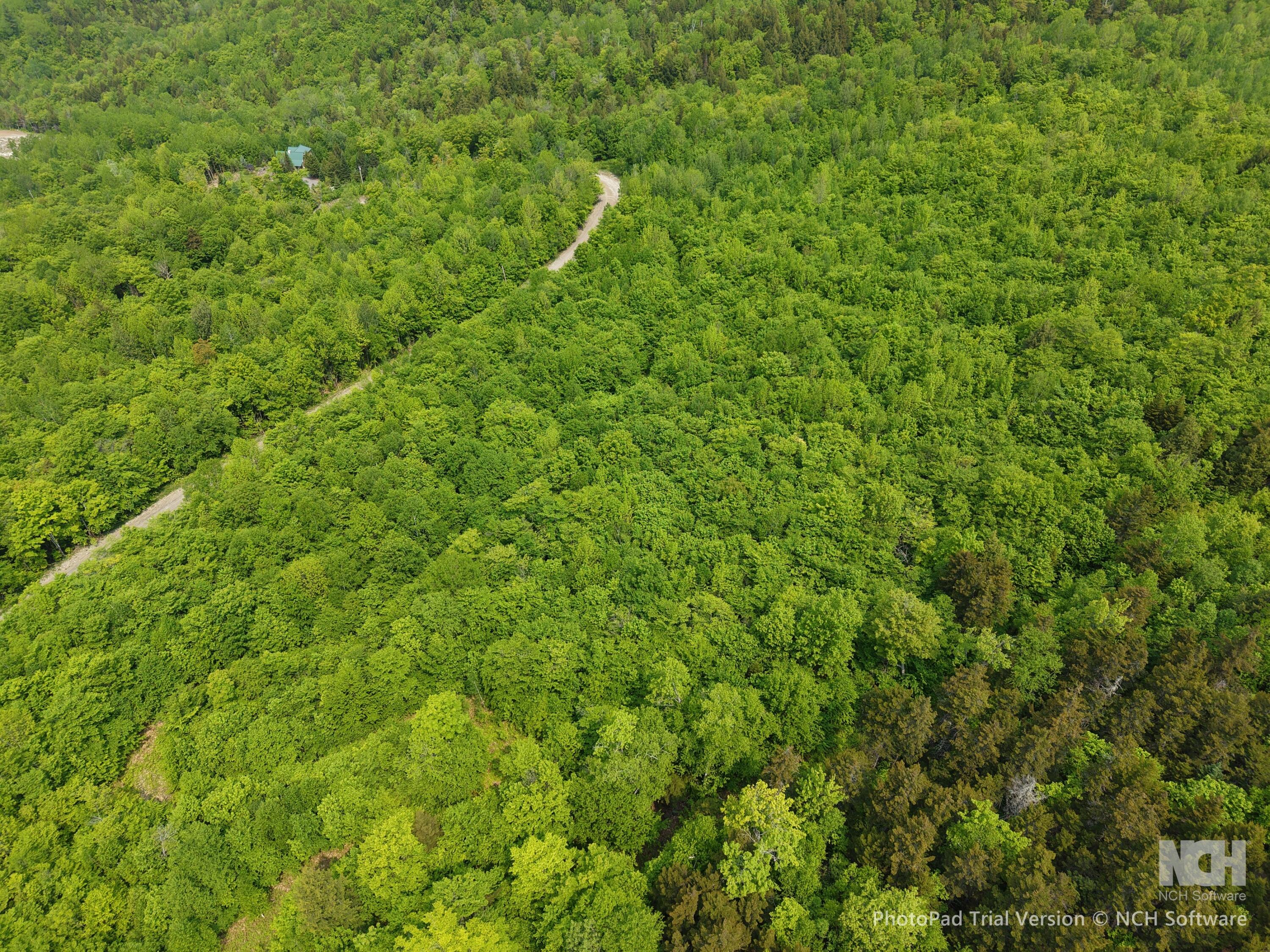 2-3 Ira Mountain Road Kingfield, ME 04947 - Photo 16 of 22 DJI_20250604110139_0025_D