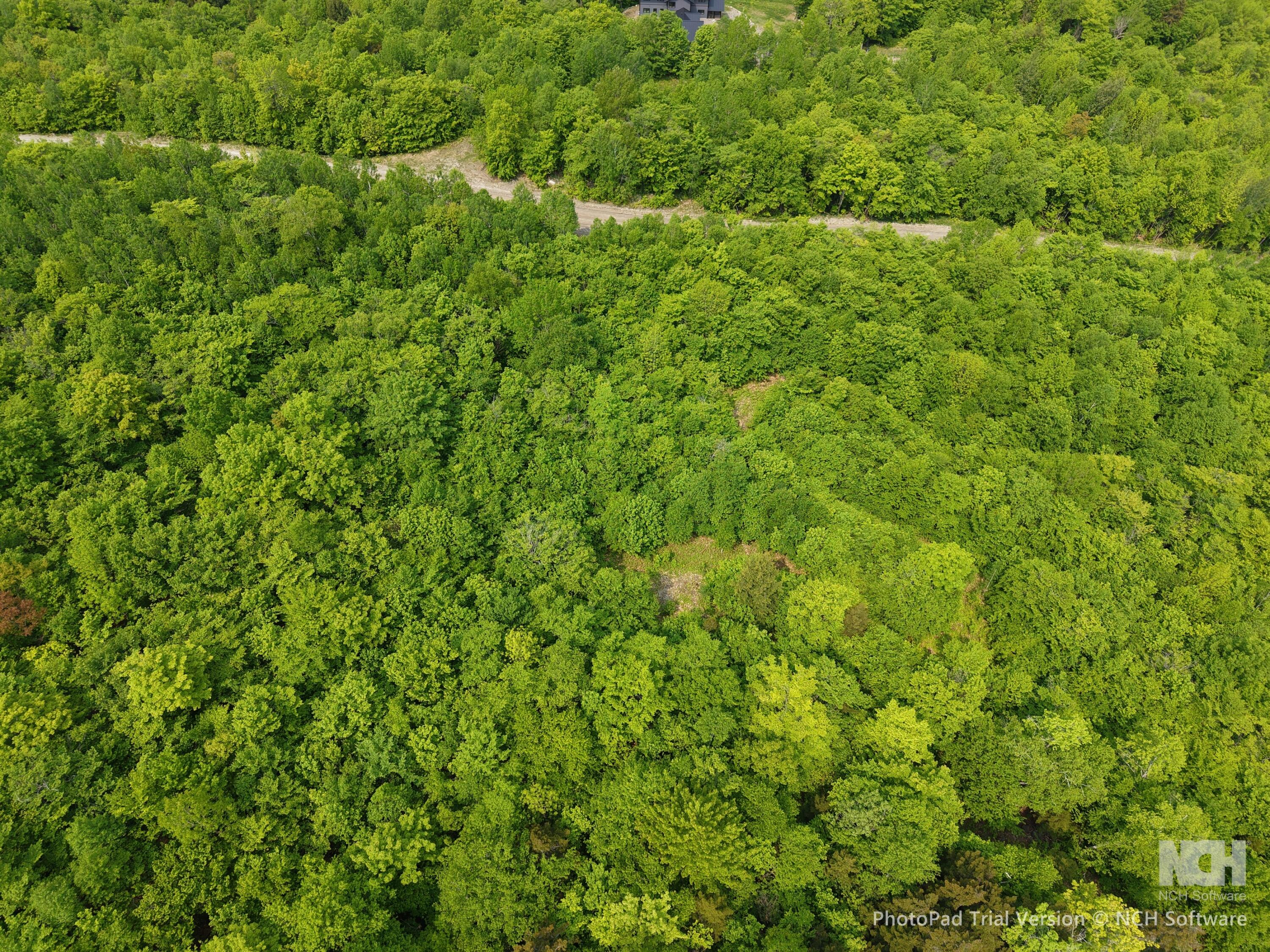 2-3 Ira Mountain Road Kingfield, ME 04947 - Photo 17 of 22 DJI_20250604110147_0026_D