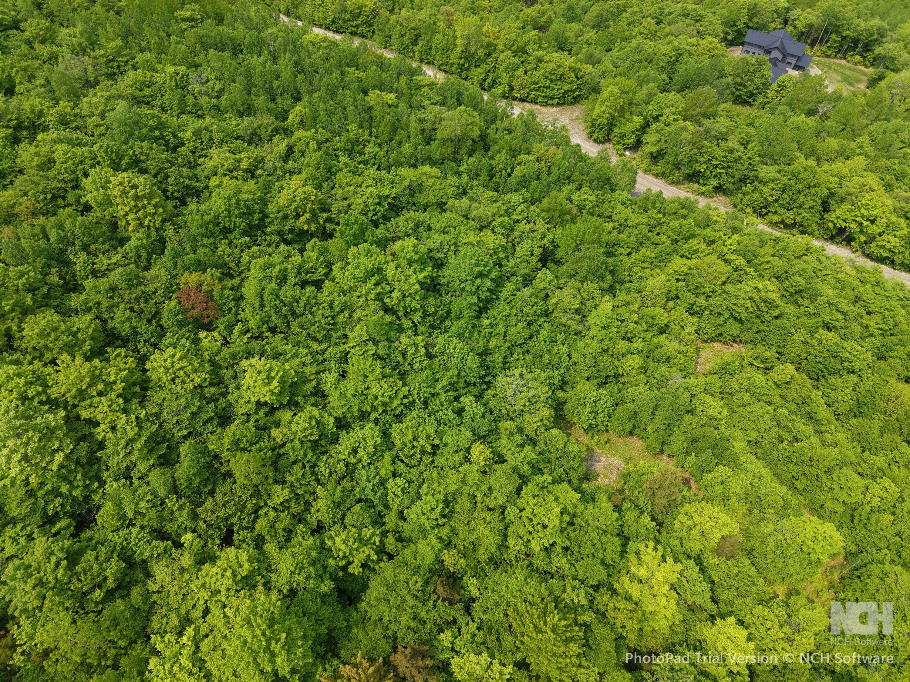 2-3 Ira Mountain Road Kingfield, ME 04947 - Photo 18 of 22 DJI_20250604110151_0027_D