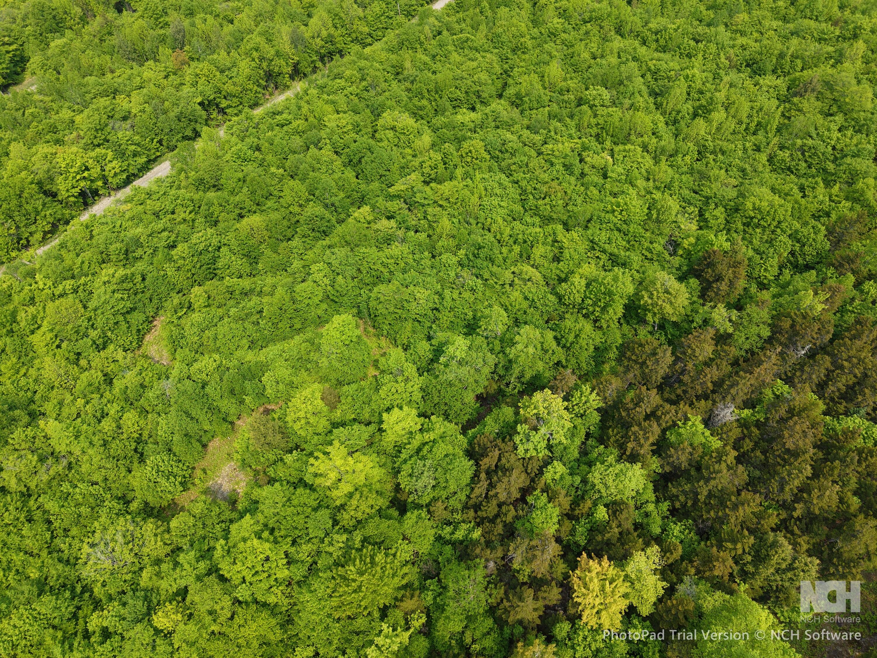 2-3 Ira Mountain Road Kingfield, ME 04947 - Photo 19 of 22 DJI_20250604110154_0028_D