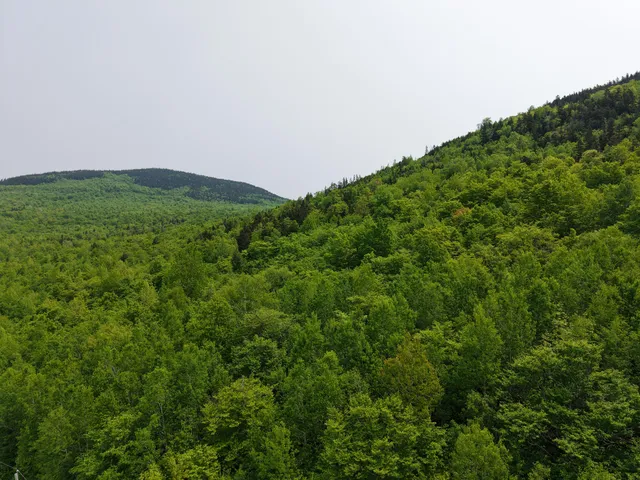 $250,000 | 2-3 Ira Mountain Road, Kingfield, ME 04947