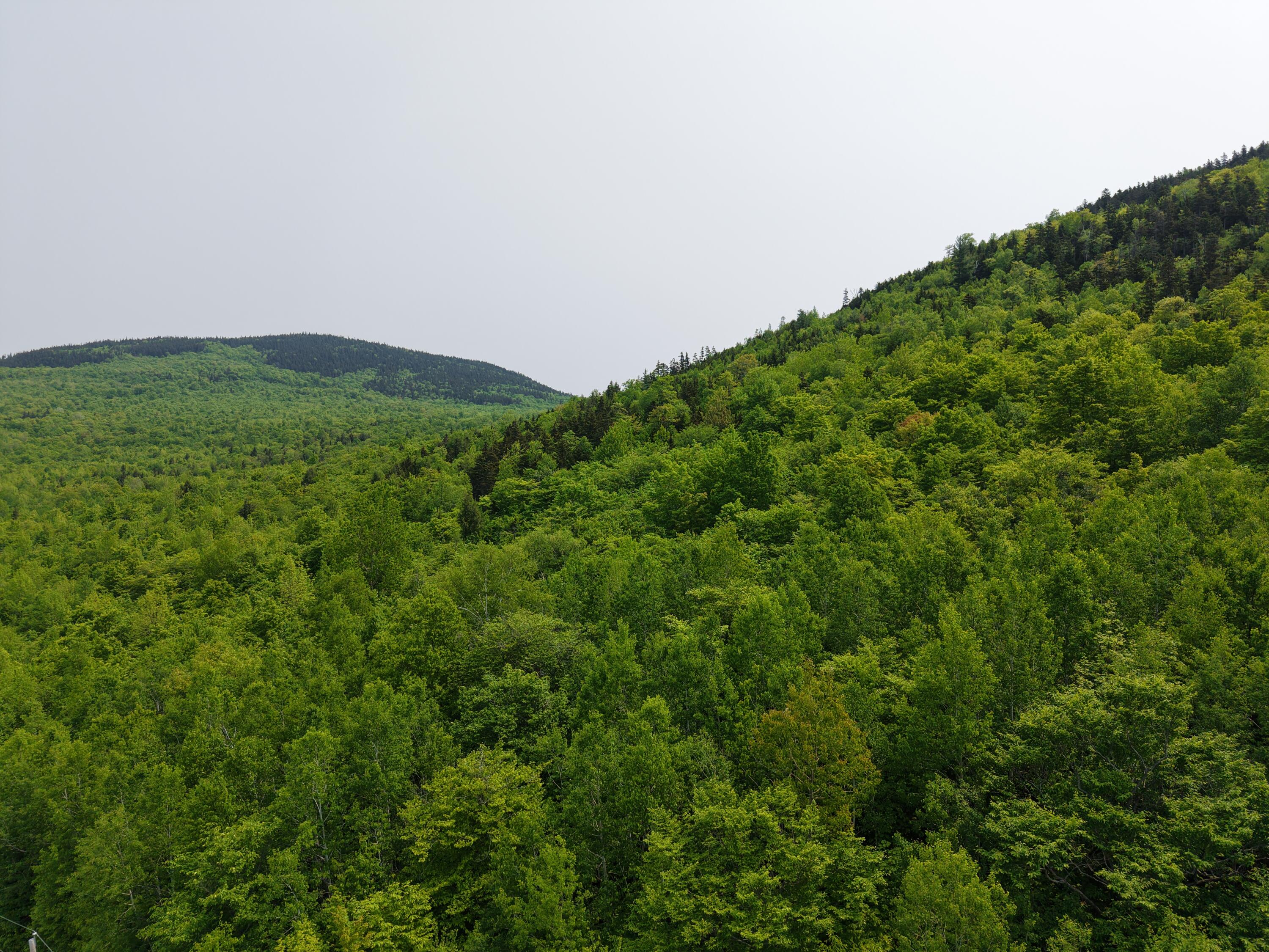 2-3 Ira Mountain Road Kingfield, ME 04947 - Photo 20 of 22 DJI_20250604105832_0014_D