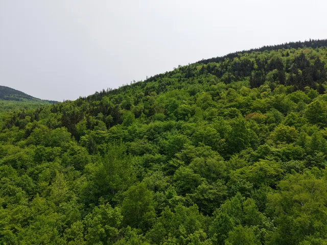 $250,000 | 2-3 Ira Mountain Road, Kingfield, ME 04947