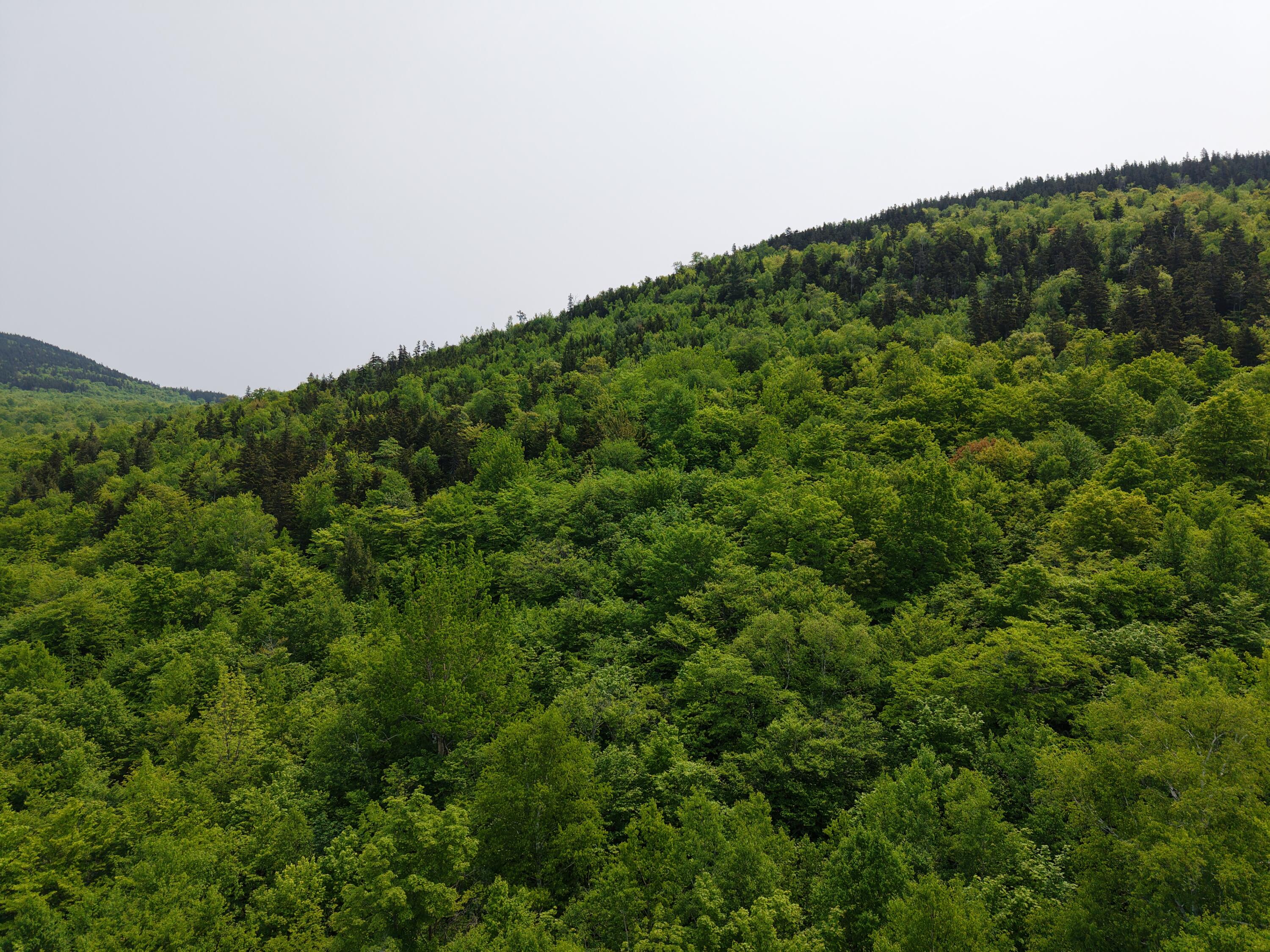 2-3 Ira Mountain Road Kingfield, ME 04947 - Photo 22 of 22 DJI_20250604105856_0016_D
