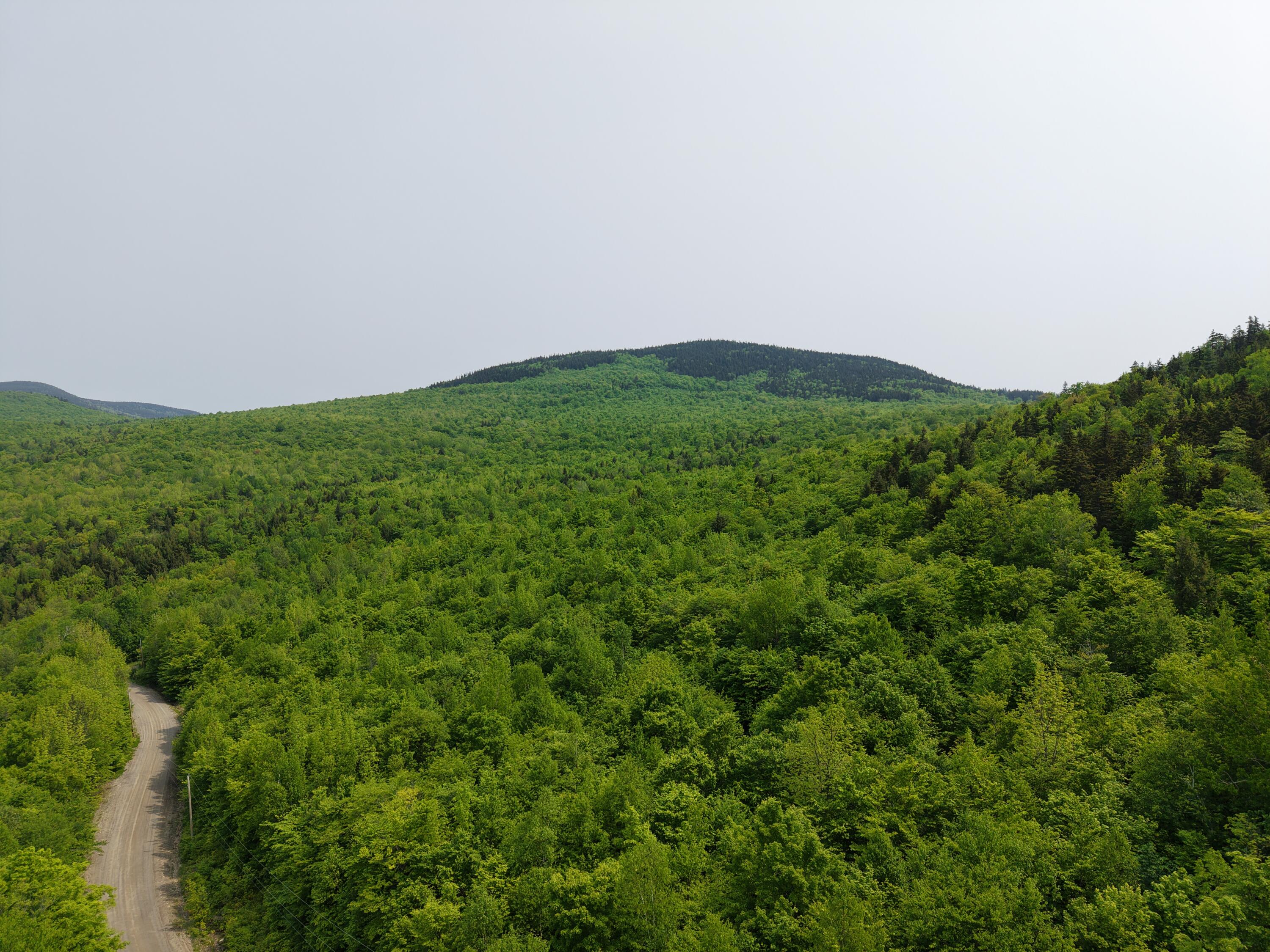 2-3 Ira Mountain Road Kingfield, ME 04947 - Photo 4 of 22 DJI_20250604105851_0015_D