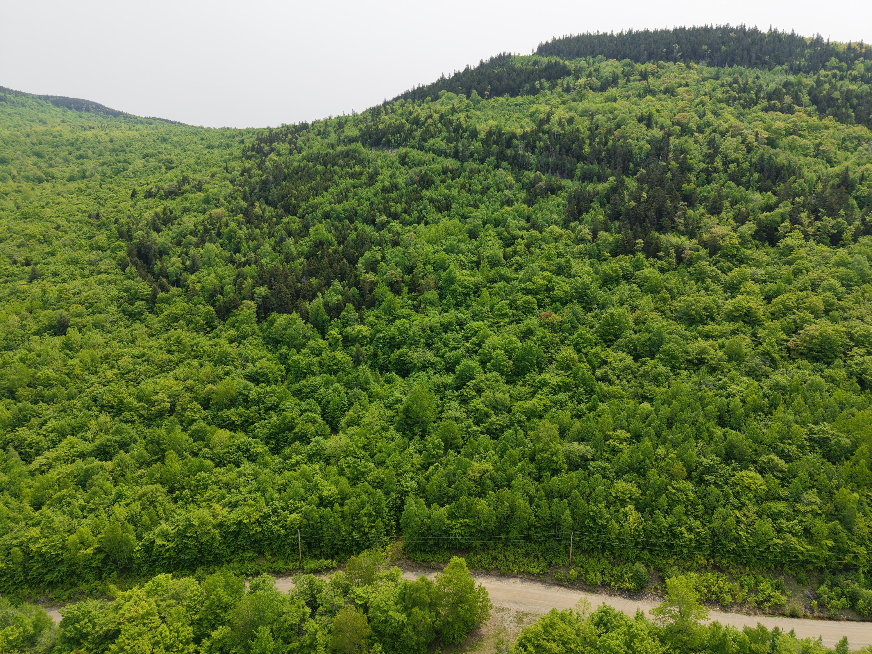 2-3 Ira Mountain Road Kingfield, ME 04947 - Photo 5 of 22 DJI_20250604110002_0017_D