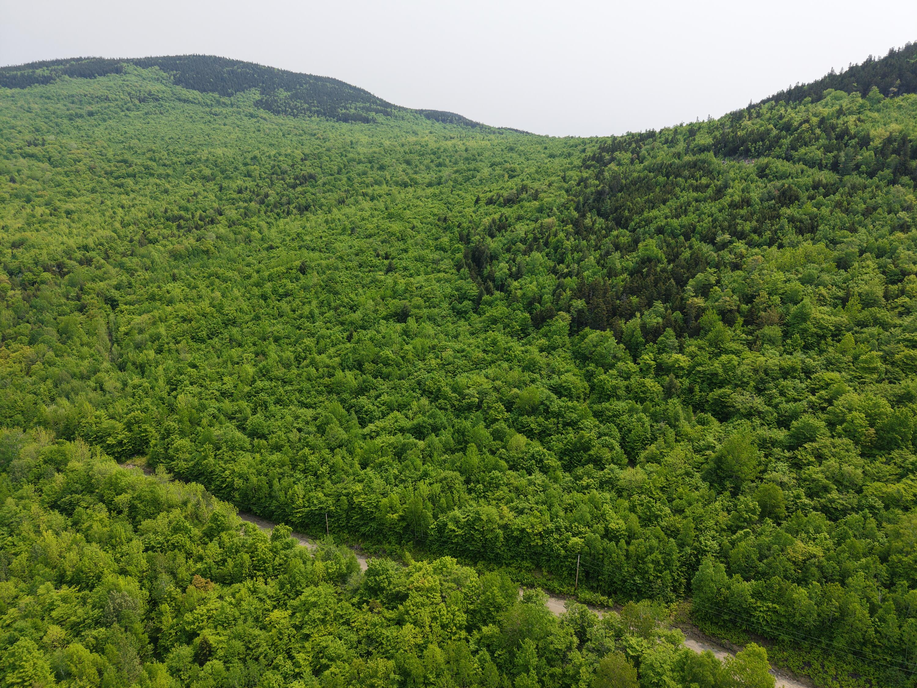 2-3 Ira Mountain Road Kingfield, ME 04947 - Photo 6 of 22 DJI_20250604110006_0018_D