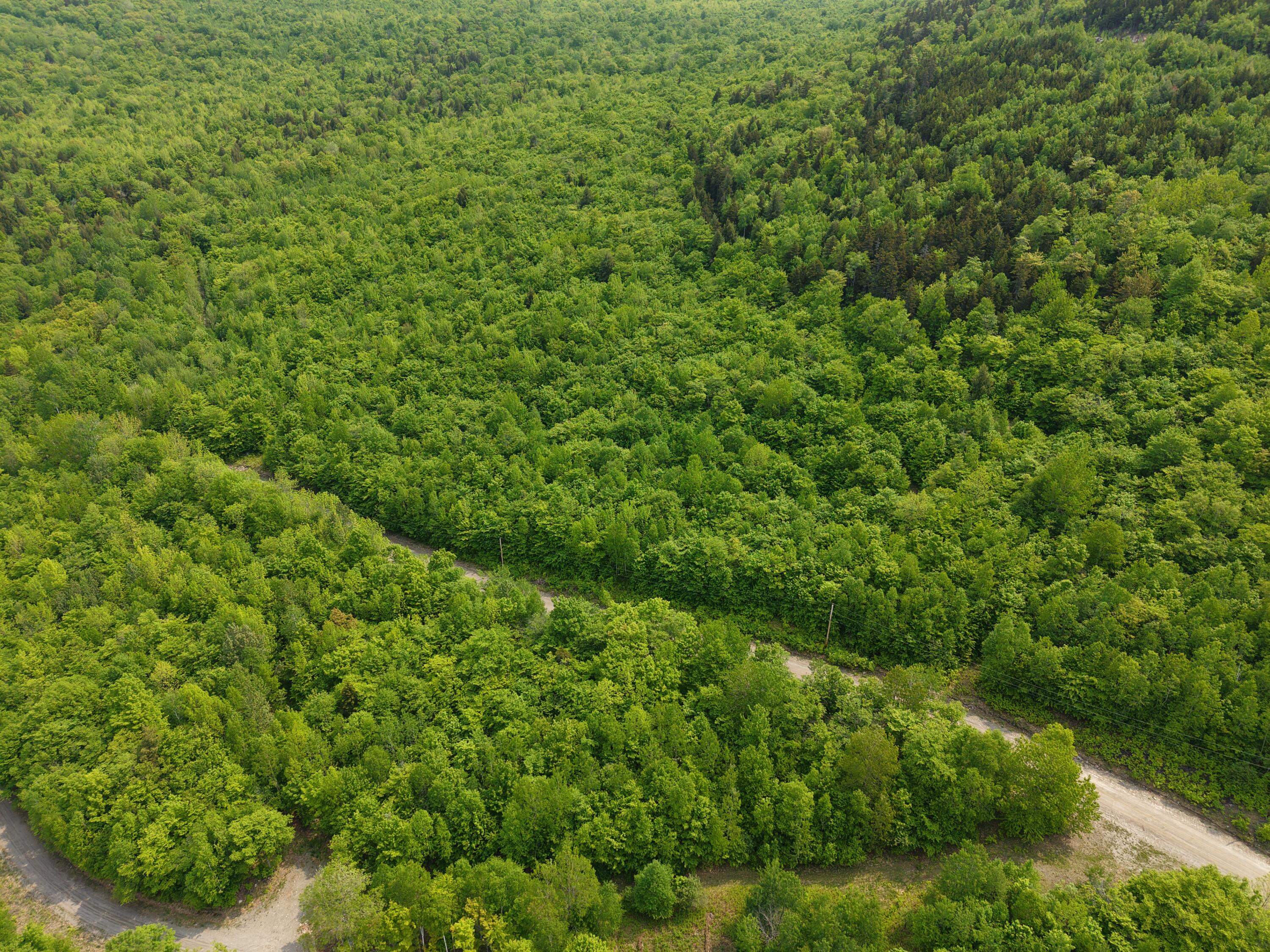 2-3 Ira Mountain Road Kingfield, ME 04947 - Photo 7 of 22 DJI_20250604110019_0019_D