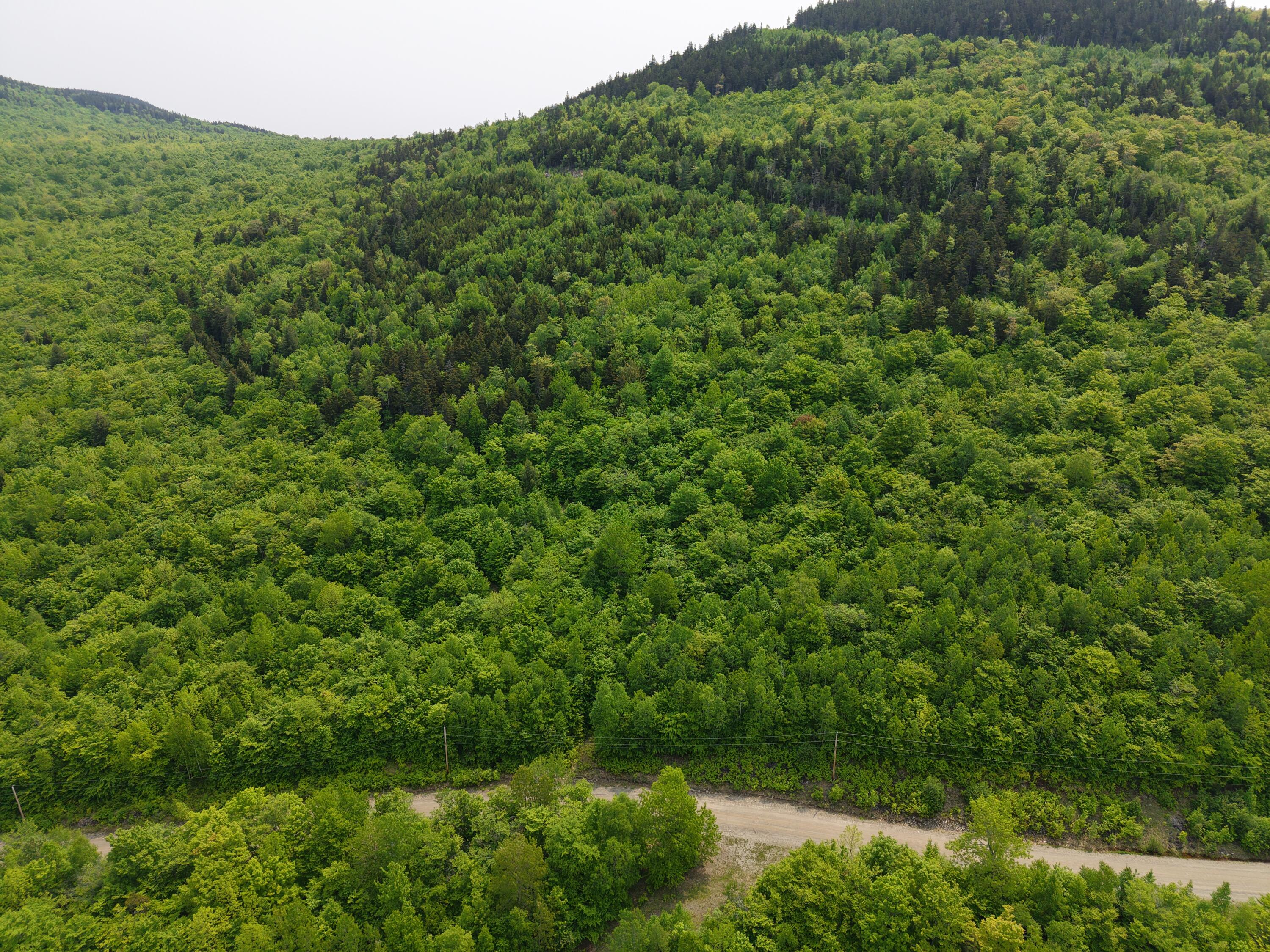 2-3 Ira Mountain Road Kingfield, ME 04947 - Photo 8 of 22 DJI_20250604110031_0020_D