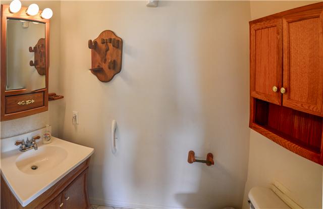 101 Mint Springs Road Ethridge, TN 38456 - Photo 19 of 20 Master half bath
