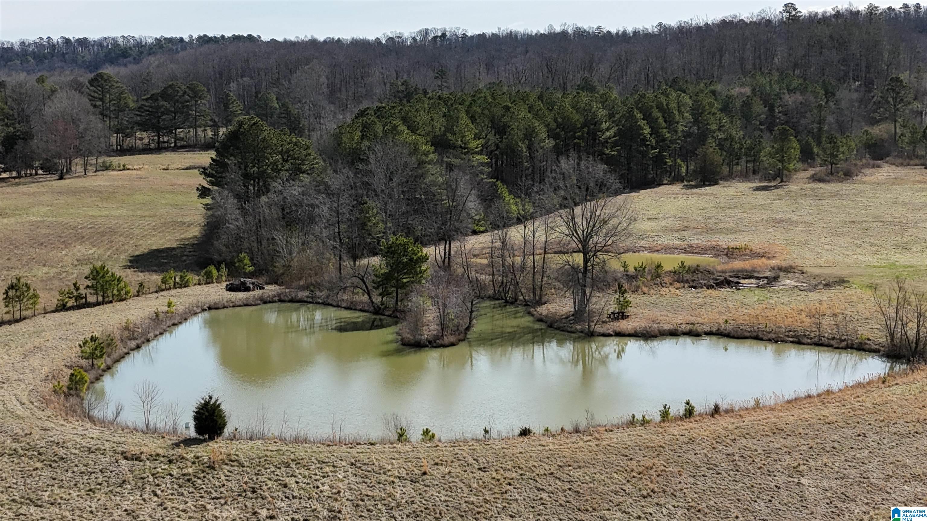 3410 Highway 132 Oneonta, AL 35121 - Photo 9 of 46