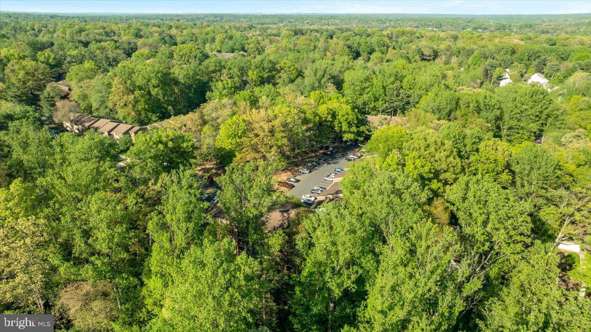 1433 Northgate Square, Unit 11B Reston, VA 20190 - Photo 38 of 44 a view of a forest with an outdoor space