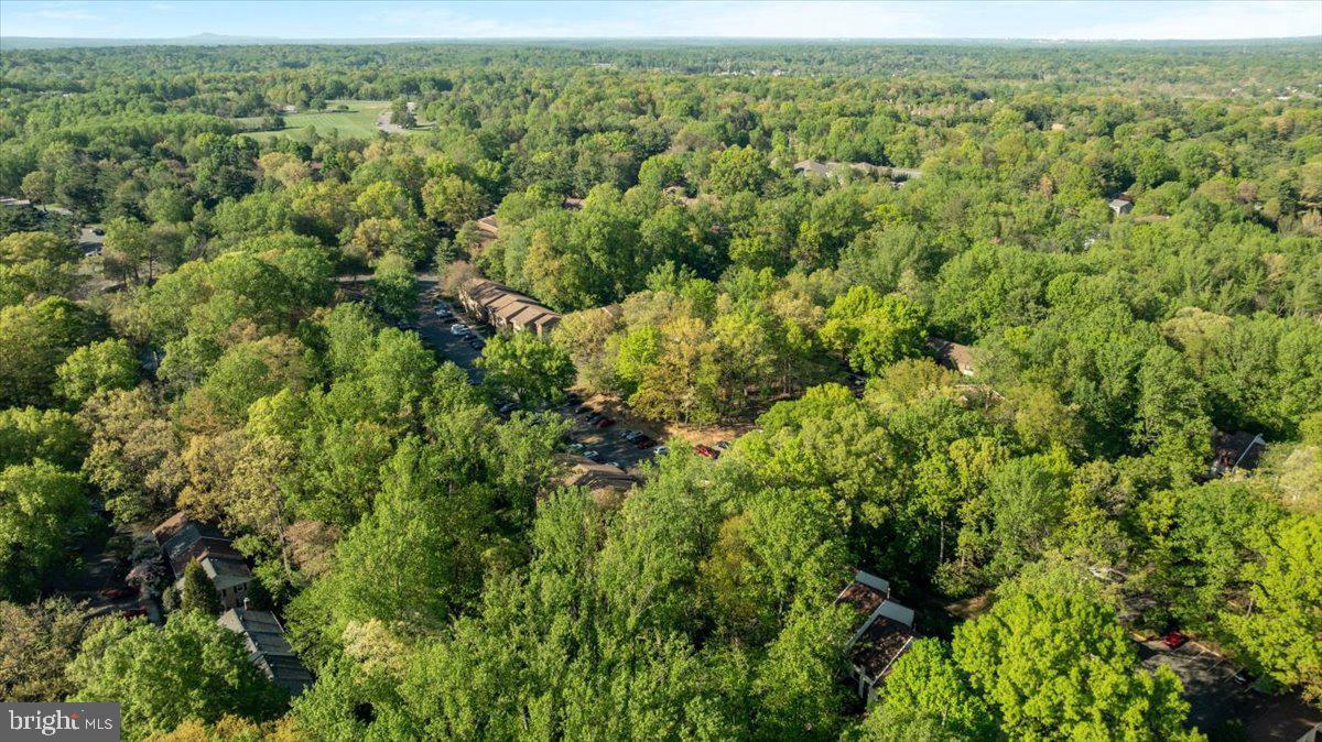 1433 Northgate Square, Unit 11B Reston, VA 20190 - Photo 40 of 44 an aerial view of forest