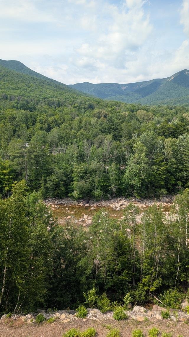 90 Loon Mountain Road, Unit 1157A Lincoln, NH 03251 - Photo 6 of 50
