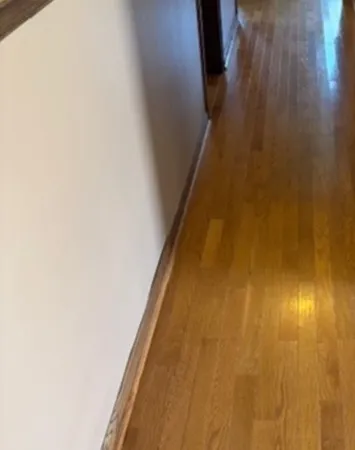 $399,999 | 332 El Paso Lane, Carol Stream, IL 60188