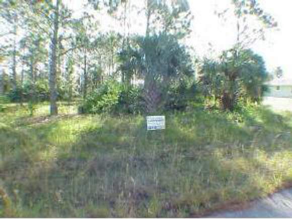 0 Southwest Hastings Road Palm Bay, FL 32908 - Photo 1 of 2 Primary Photo