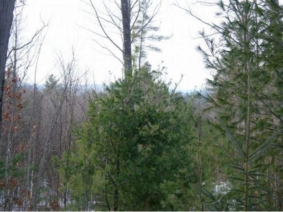Williams Road Canaan, NH 03741 - Photo 1 of 1