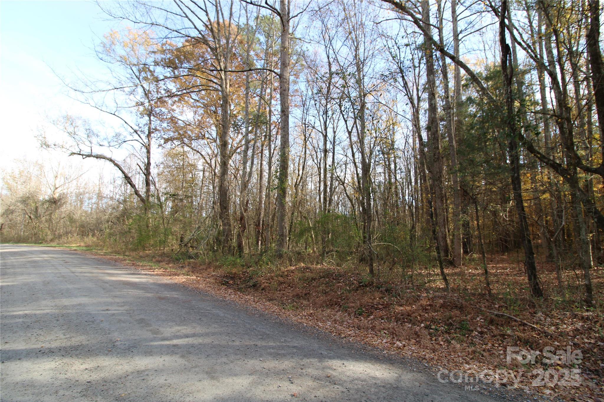 6.5-ac Bookout Road McConnells, SC 29726 - Photo 9 of 10 a view of a forest with trees in the background