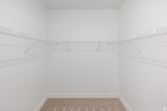 4695 South 690th West, Unit U101 Mapleton, UT 84664 - Photo 8 of 16 Walk-in closet featuring white wire shelving, light-toned carpeting, white walls, and white baseboards