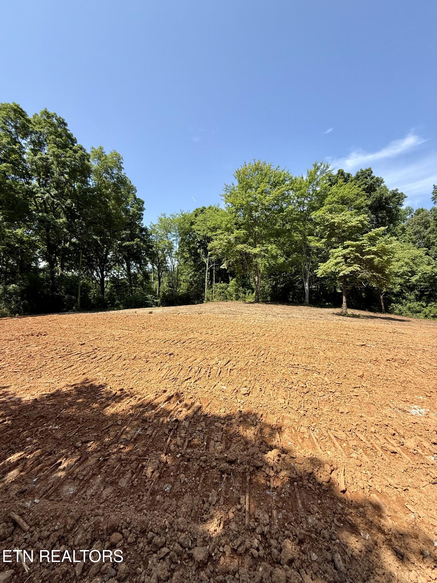 561 New Providence Road Tellico Plains, TN 37385 - Photo 1 of 17 IMG_0356