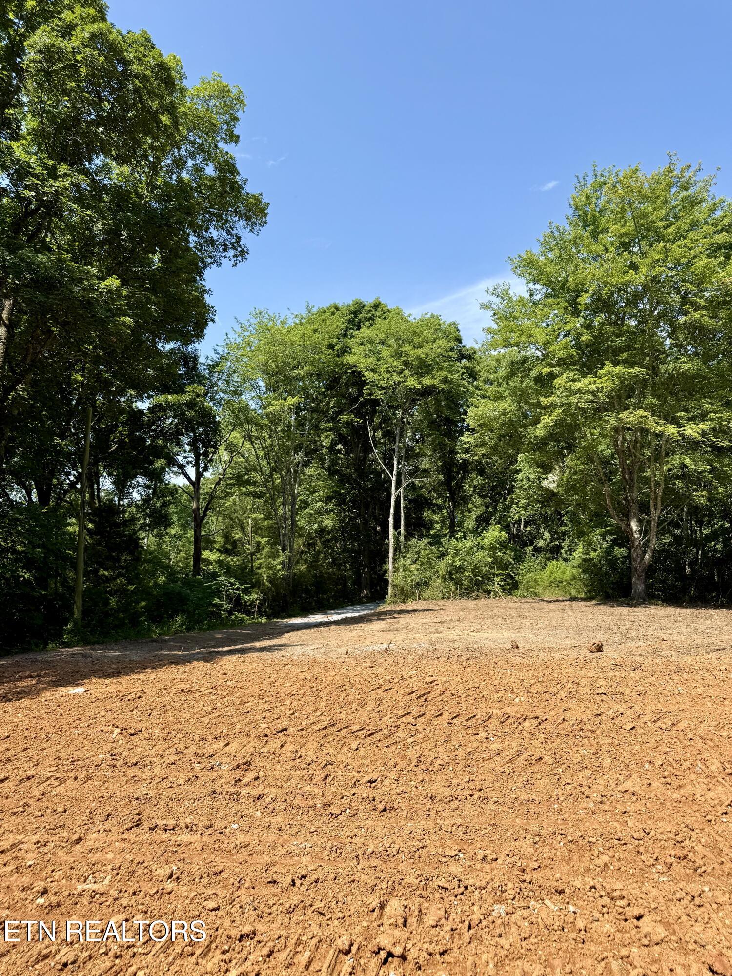 561 New Providence Road Tellico Plains, TN 37385 - Photo 8 of 17 IMG_0362