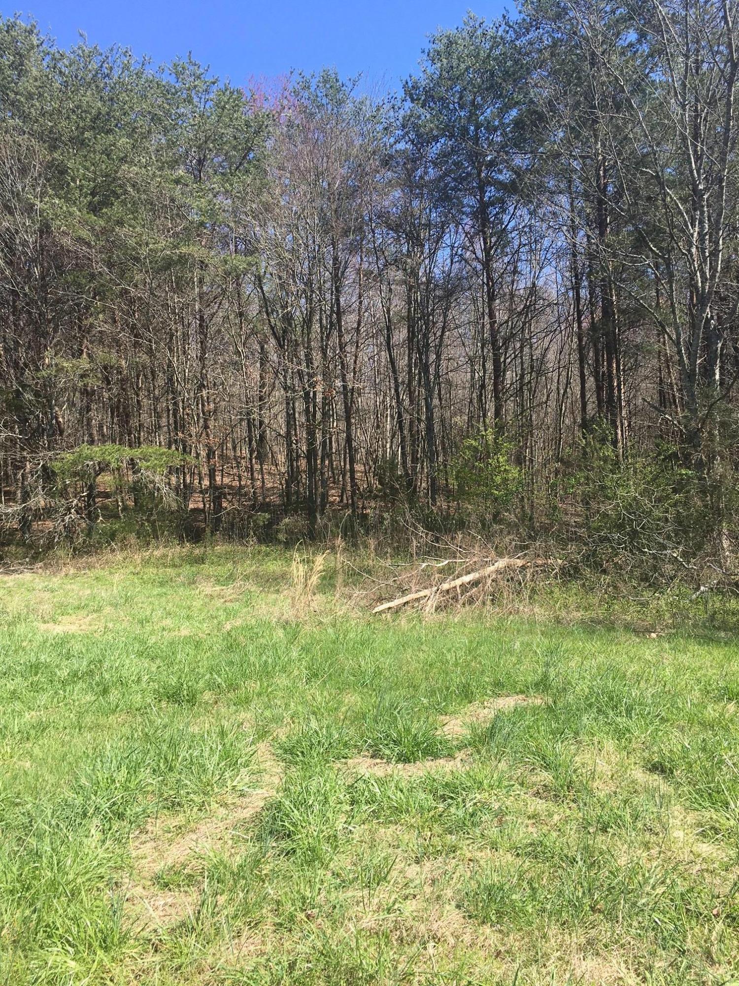 468 Oak Grove Road Benton, TN 37307 - Photo 2 of 8 Barnes Farm 2