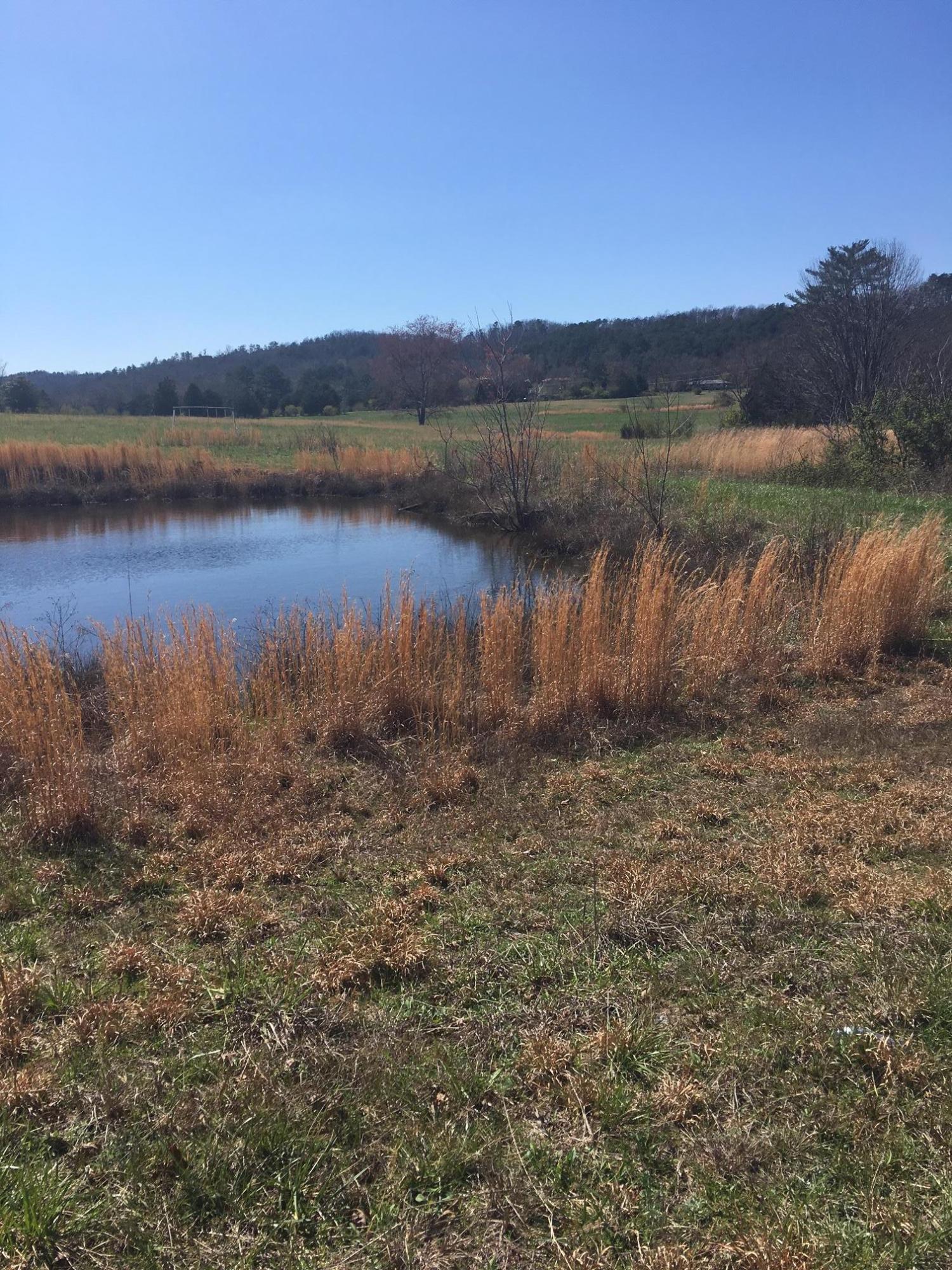 468 Oak Grove Road Benton, TN 37307 - Photo 3 of 8 Barnes Farm 3