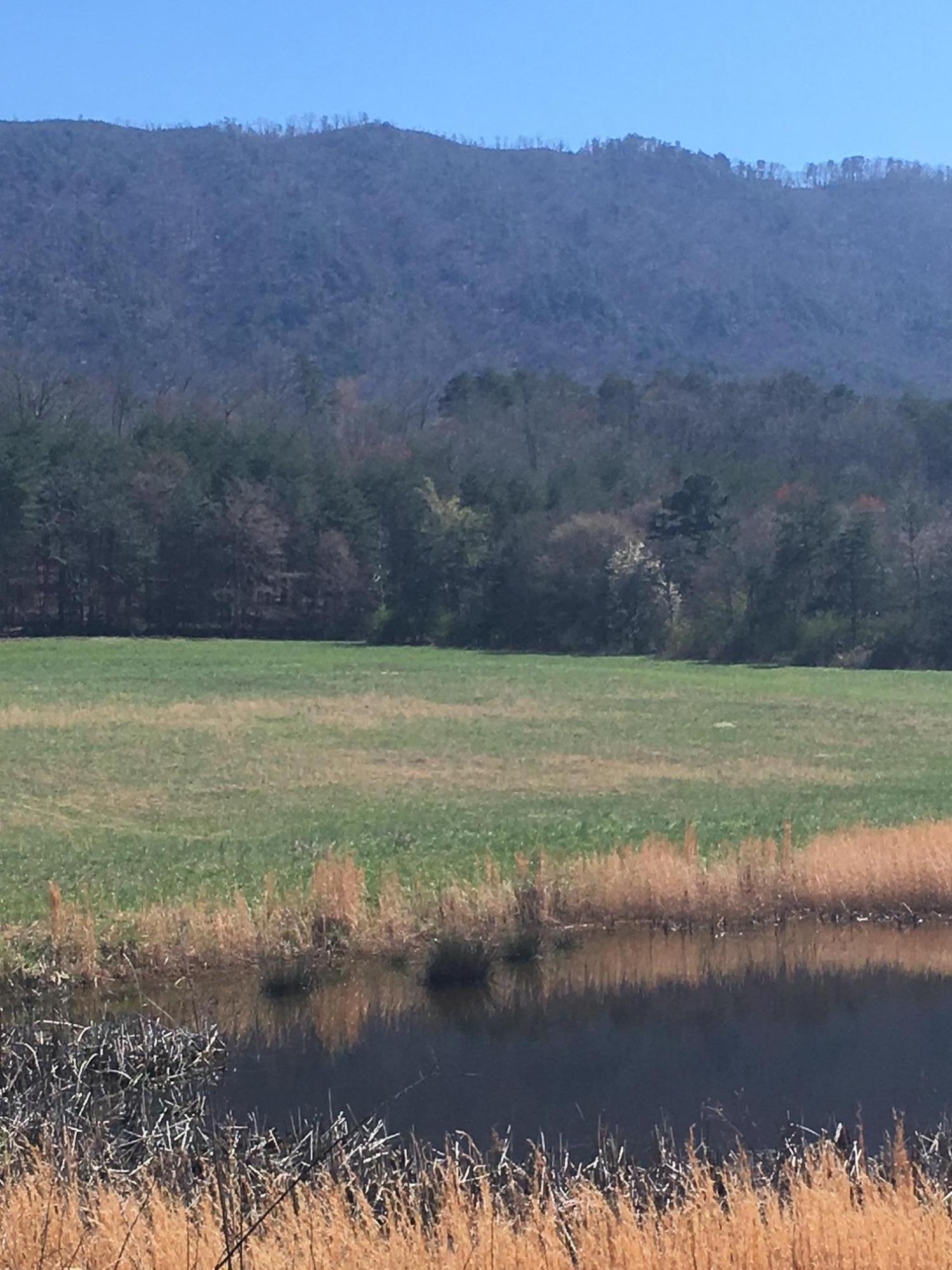 468 Oak Grove Road Benton, TN 37307 - Photo 6 of 8 Barnes Farm 6