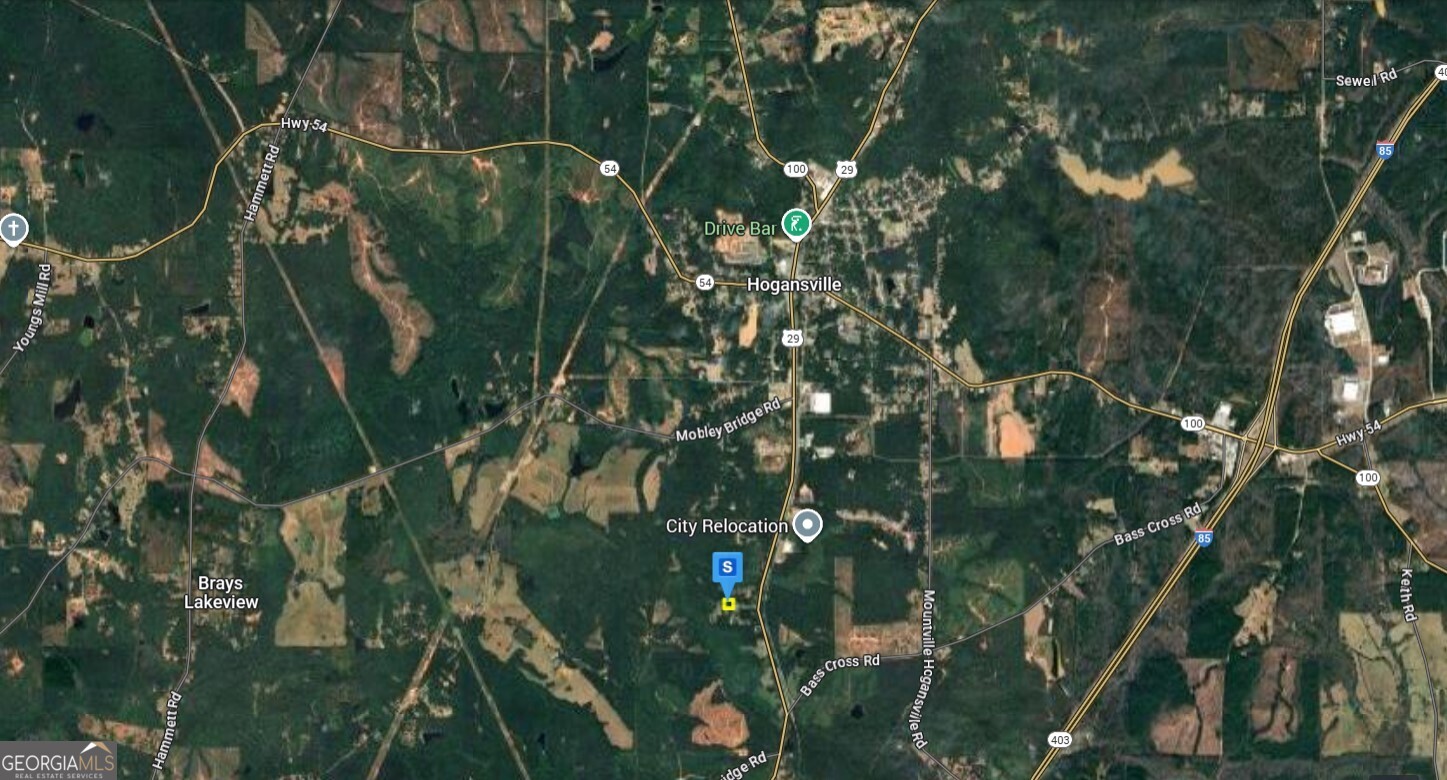 61 Hale Road Hogansville, GA 30230 - Photo 5 of 6 a picture of tree