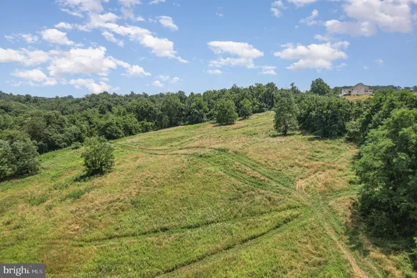 a big yard with lots of green space