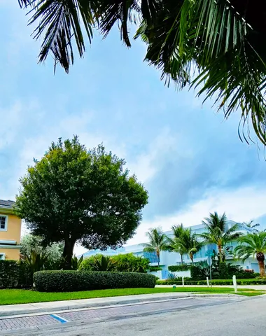 a view of a yard with plants